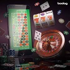kk vip bet